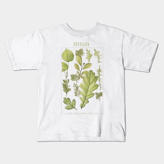 Green herbs and leaves Kids T-Shirt by thecolddots